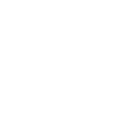 Logo brand Best Wedding Package